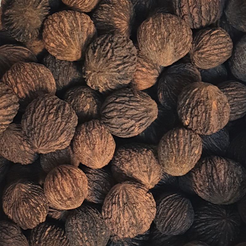 Graines de Noyer noir d'Amérique Semences de Juglans Nigra — free download