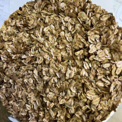 Graines de Taiwania cryptomerioides par Semences du Puy