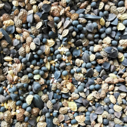 Mélange de graine pour jachère mellifère intensive - Semences du Puy