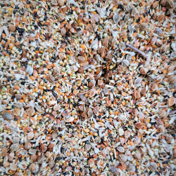 Mélange de graines de fleurs sauvages pour toits fleuris et gravières - Semences du Puy