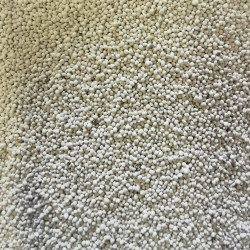 Graines enrobées de Micro-trèfle Pipolina - Semences du Puy