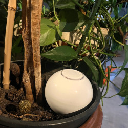 Poterie d'irrigation blanc - Semences du Puy