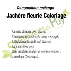 Composition du mélange 100% graines jachère fleurie coloriage - Semences du Puy