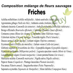 Composition 100% graines du mélange de fleurs sauvages Friches - Semences du Puy