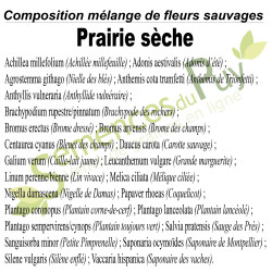Composition du mélange 100% graines de fleurs sauvages prairie sèche - Semences du Puy Composition du mélange 100% graines de fleurs sauvages prairie sèche - Semences du Puy