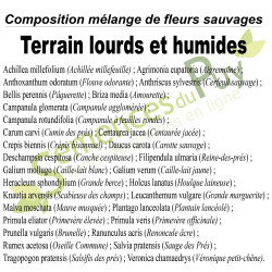 Composition du mélange 100% graines de fleurs sauvages du mélange Terrains lourds et humides - Semences du Puy