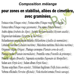 Composition 100% graines du mélange pour zones en stabilisé, allées de cimetière, avec graminées - Semences du Puy