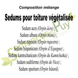 Composition 100% graines du mélange de Sedums pour toiture végétalisée - Semences du Puy