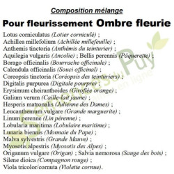 Composition mélange 100% graines pour fleurissement en zone ombre - Semences du Puy